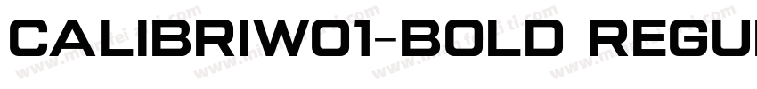 CalibriW01-Bold Regular字体转换